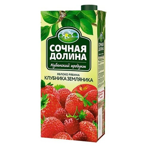 Напиток 0,95л ТМ Сочная долина из рябины,клубники,земляники сокосодержащий купить в Симферополе и по всему Крыму с доставкой из интернет-магазина Корзина | Цены ниже