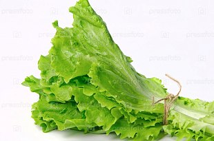 Лист Салатный  пучок 994951 по цене 33₽